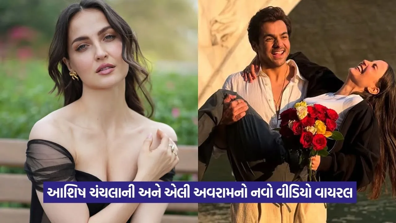 Viral Video: શું એલી-આશિષ પ્રેમમાં છે? વાયરલ વીડિયો બાદ ઉઠ્યા સવાલ! 1 Viral Video