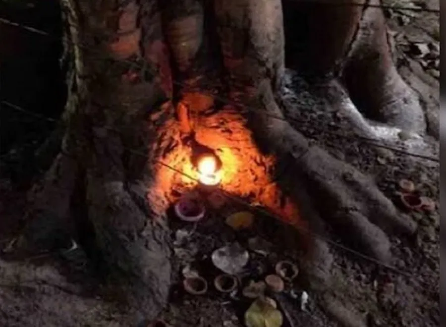 Kamika Ekadashi 2025: શ્રાવણની પહેલી એકાદશી પર દિવા પ્રગટાવવાના શુભ સ્થળો અને તેમના ફાયદા 3 Kamika Ekadashi 2025