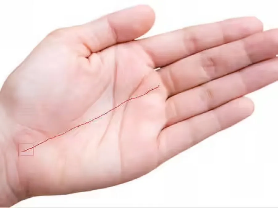 Palmistry: હથેળી પર કરોડપતિ બનવાના સંકેત અને રેખાઓ વિશે જાણો 4 Palmistry