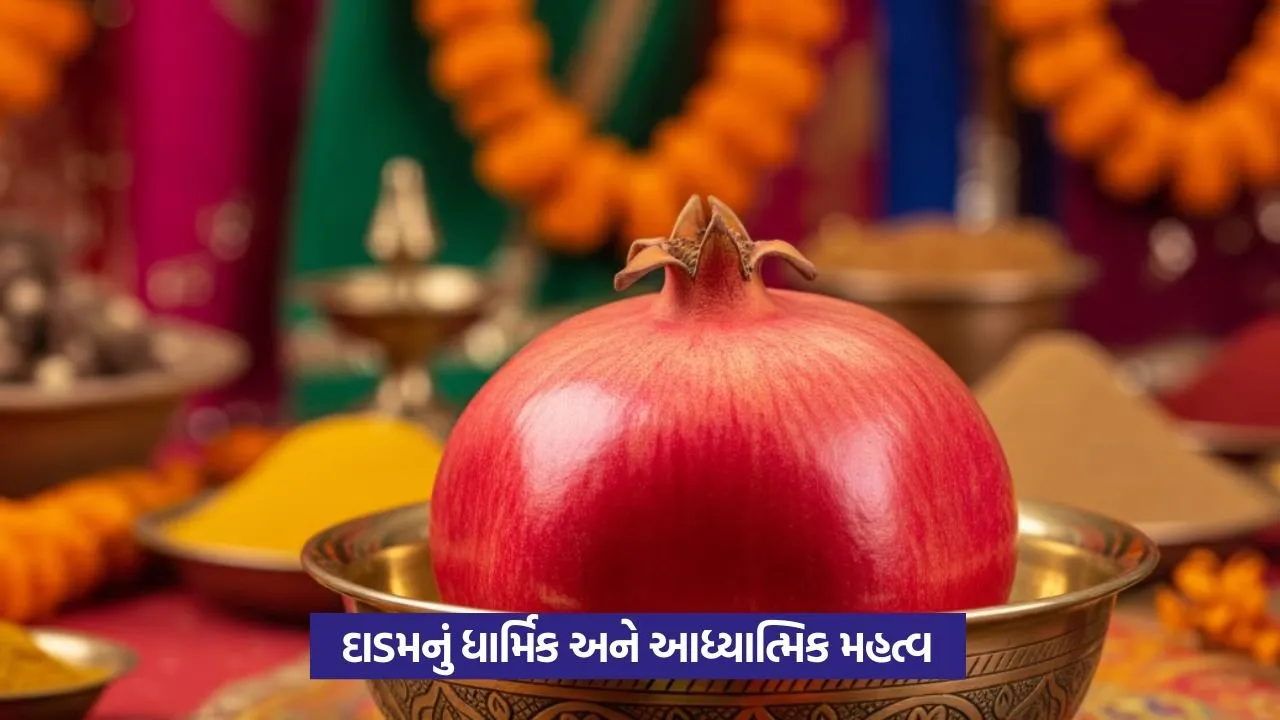 Significance of Pomegranate: ધાર્મિક અને જ્યોતિષીય દ્રષ્ટિકોણથી દાડમનું મહત્વ જાણો 25 Significance of Pomegranate