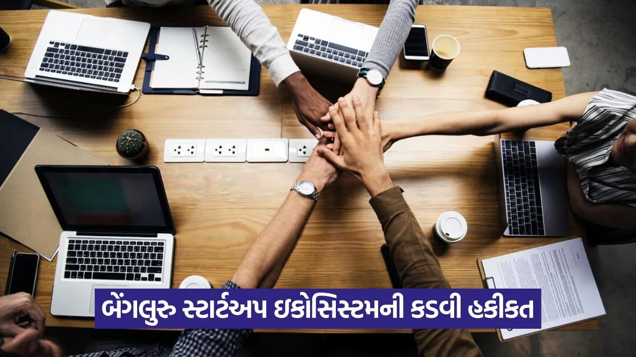 Startup Intern Culture: બેંગલુરુ સ્ટાર્ટઅપ્સમાં ઇન્ટર્નશીપ કે ગુલામી? લિંક્ડઇન પોસ્ટે ઊભા કર્યા પ્રશ્ન 21 eco 1807.jpg