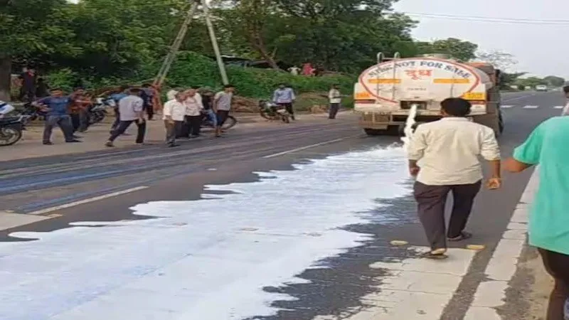 Sabar Dairy farmers protest: સાબર ડેરી સામે પશુપાલકોનો રોષ યથાવત 2 Sabar Dairy farmers protest