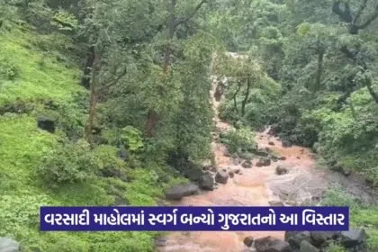 Birsa Munda Waterfall