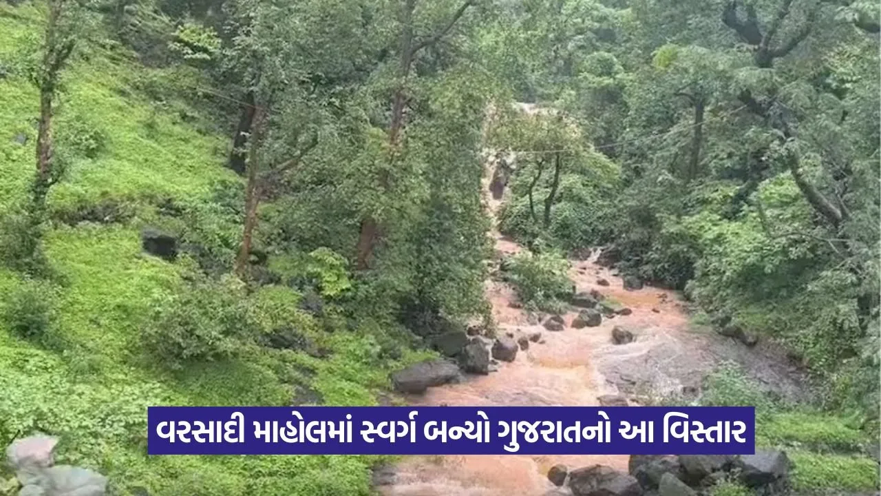 Birsa Munda Waterfall