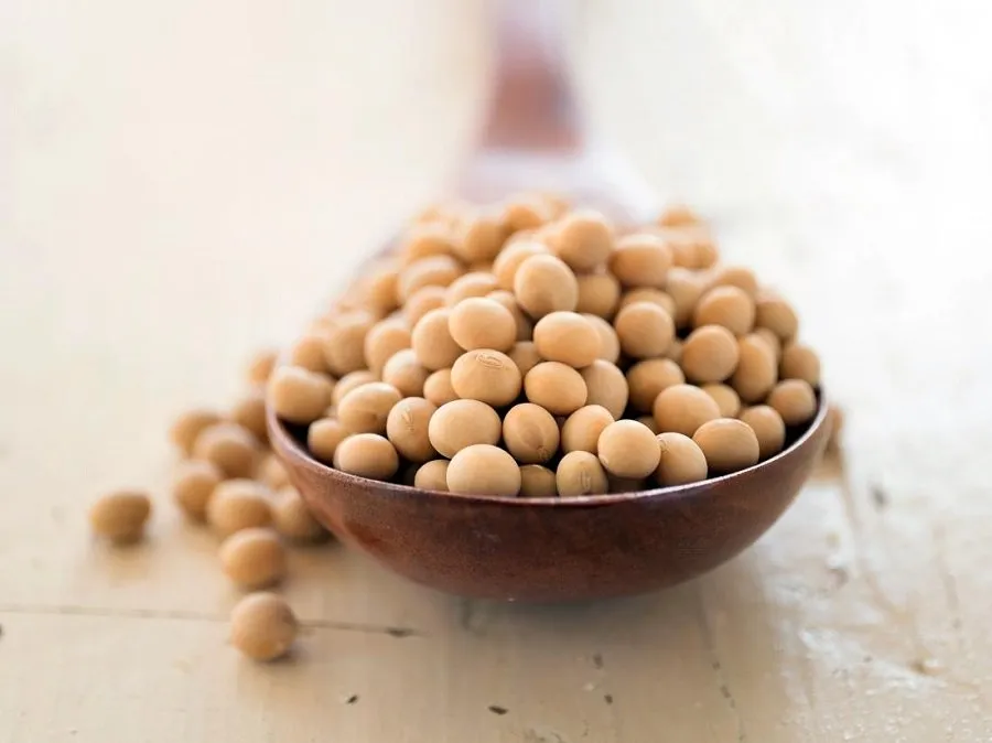 Protein Rich Food