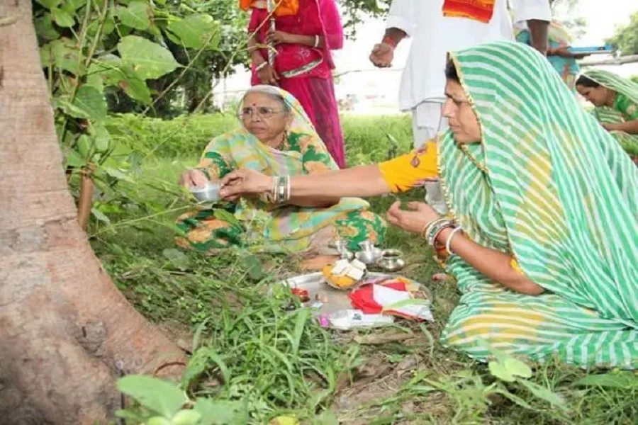 Hariyali Amavasya 2025: 23 કે 24 જુલાઇ? જાણો ક્યારે છે હરિયાળી અમાવસ્યા 3 Hariyali Amavasya 2025