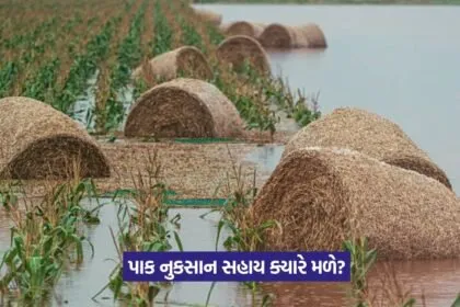 Crop Damage Aid