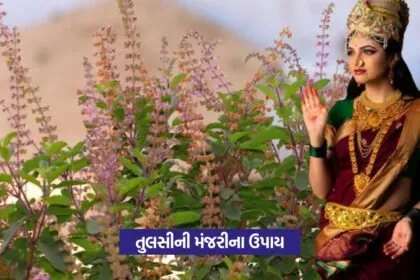 tulsi upay1