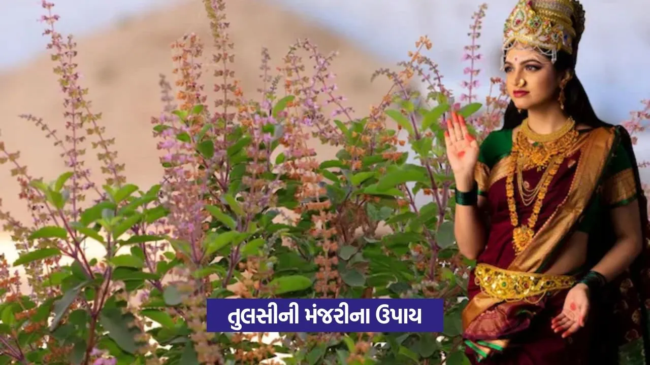 tulsi upay1.jpg
