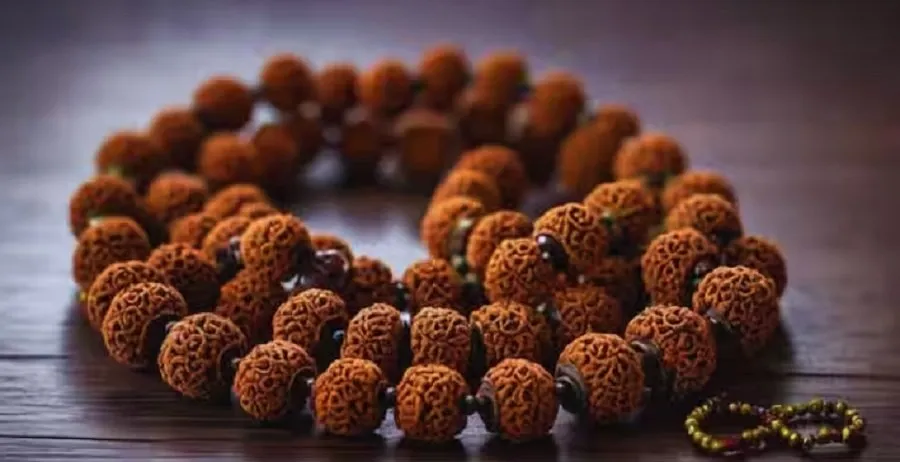 rudraksh.jpg