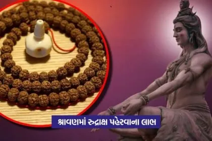 rudraksh1