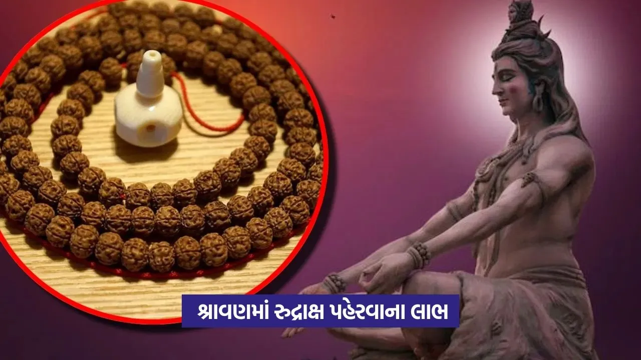 rudraksh1.jpg