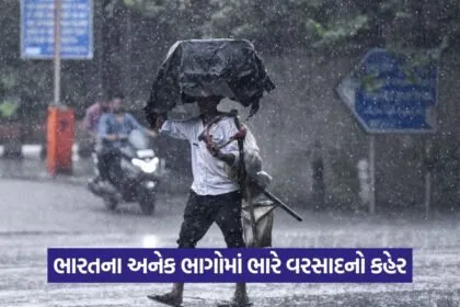 Rain Alert