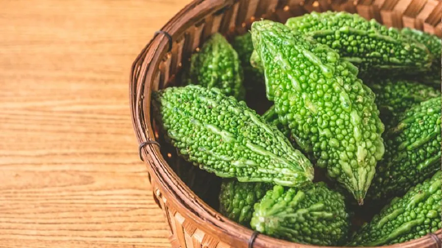 Bitter Gourd Side Effects: કારેલાના આ ગેરફાયદાઓ વિશે જાણો, નહીંતર થઈ શકે નુકસાન 3 Bitterguard.1.jpg