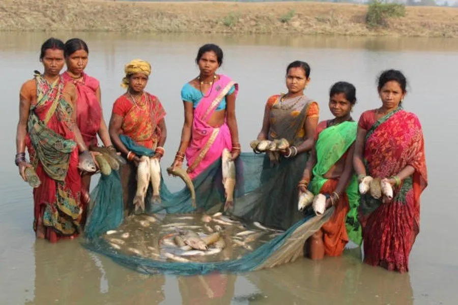 Fish Farming Tips in Monsoon: સપ્ટેમ્બરમાં માછલી ઉછેર કેવી રીતે કરશો? 2 Fish Farming Tips in Monsoon
