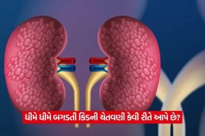 kidney 135
