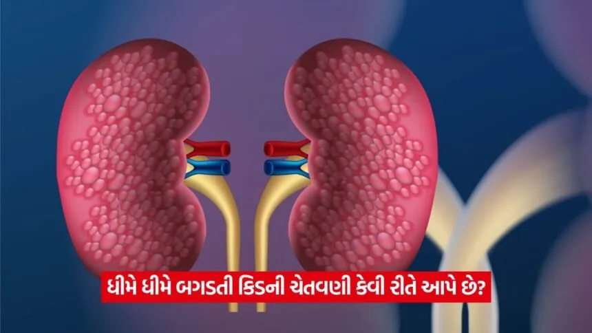 kidney 135