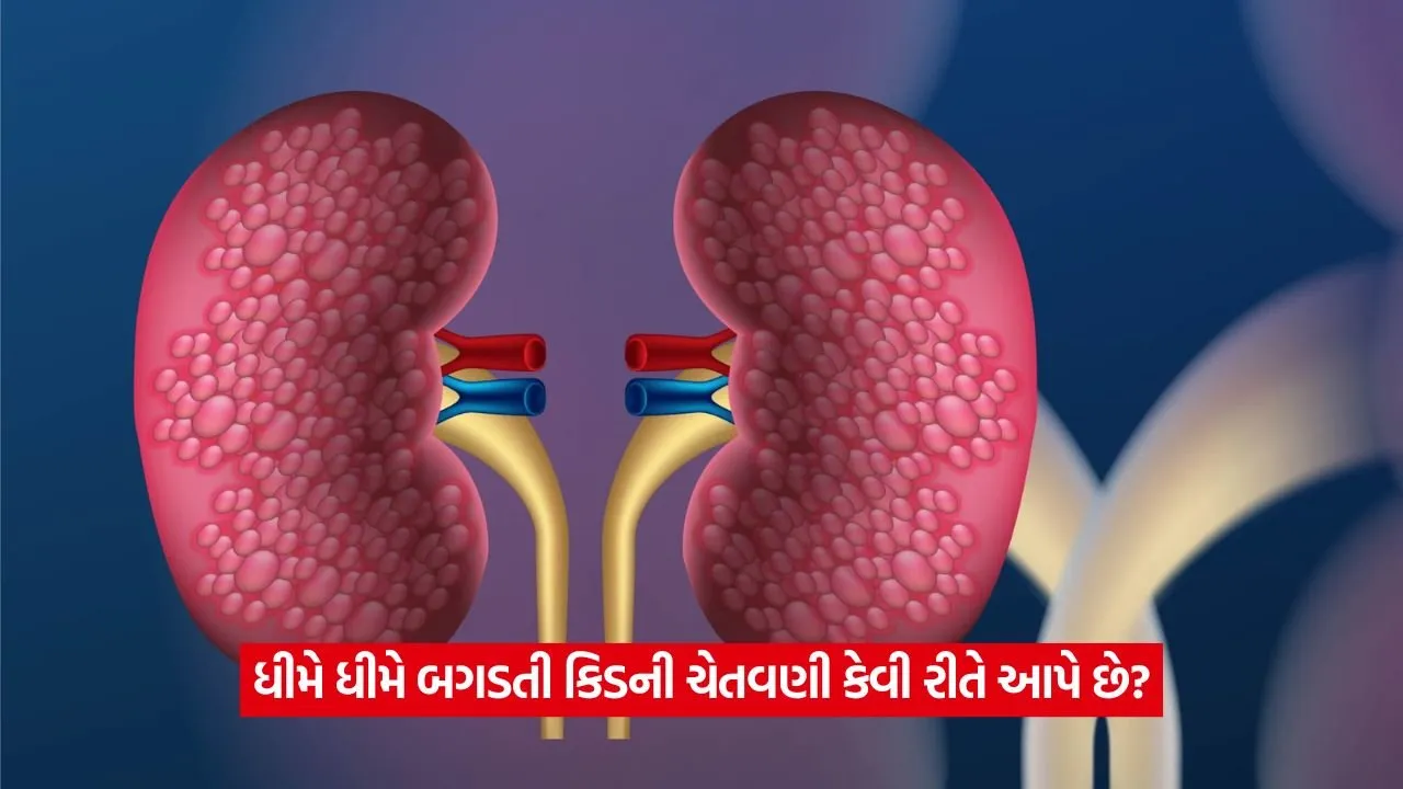 kidney 135.jpg