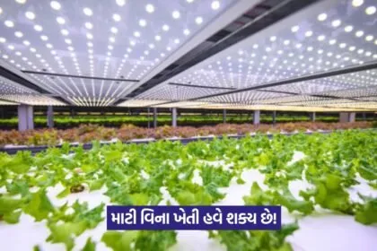 Hydroponics Technology