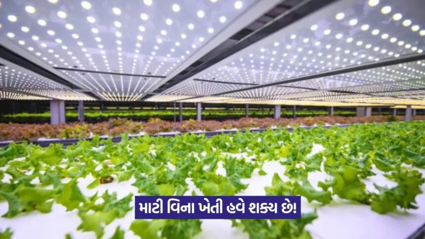 Hydroponics Technology