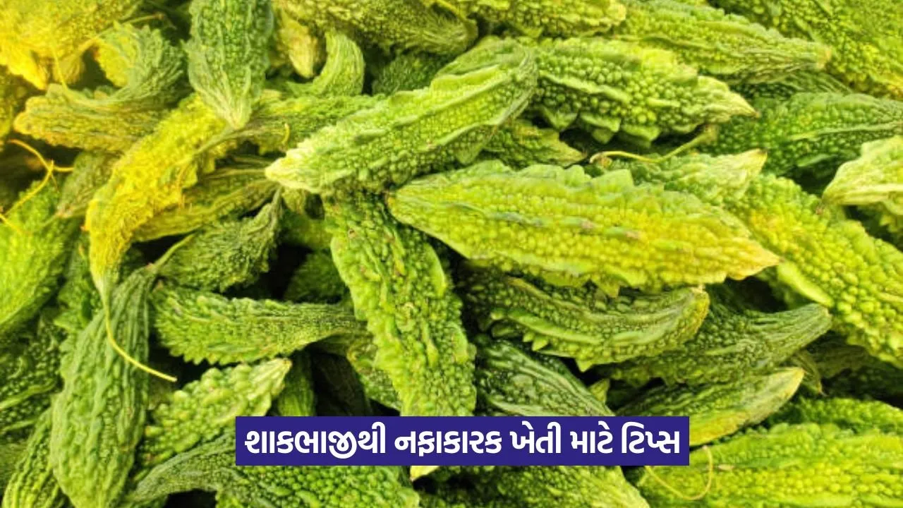 July vegetable farming