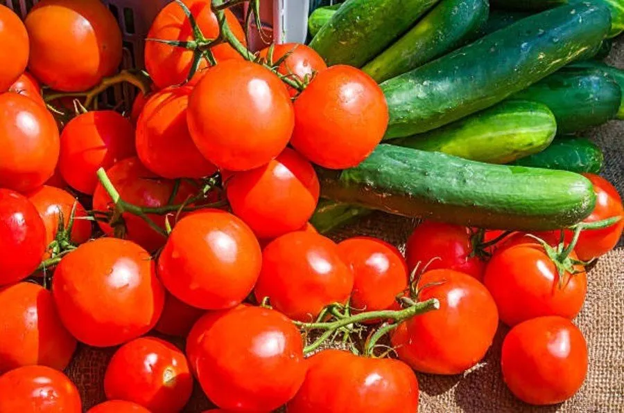 July vegetable farming: જુલાઈમાં શાકભાજી ઉગાડવાની યોગ્ય તક 2 July vegetable farming