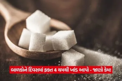 sugar01