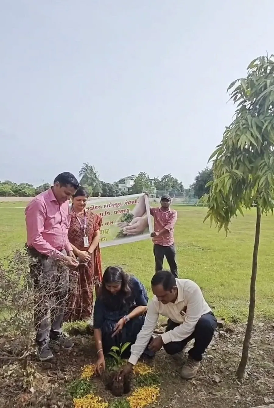 plant.jpg