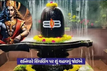 shani dosh upay