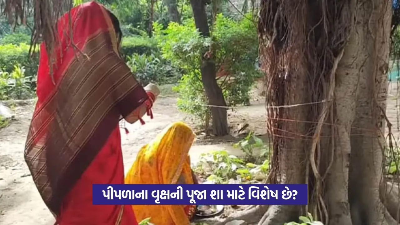 pipal worship.jpg