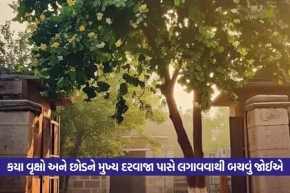 Vastu Tips