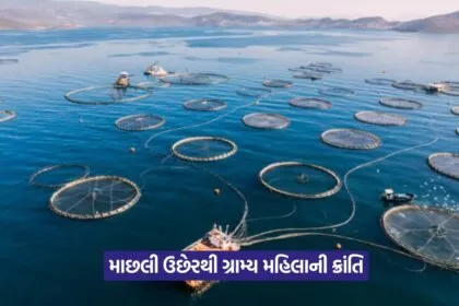 Fish Farming