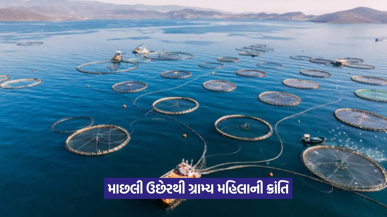 Fish Farming