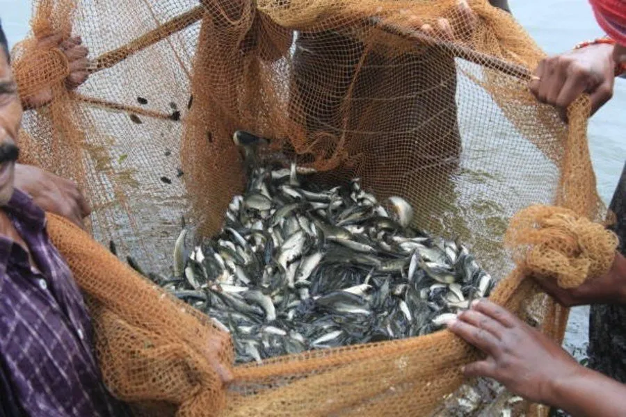 Fish Farming : માછલી ઉછેરથી પિયુષિખાની ક્રાંતિ 3 Fish Farming