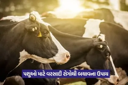 Animal disease prevention