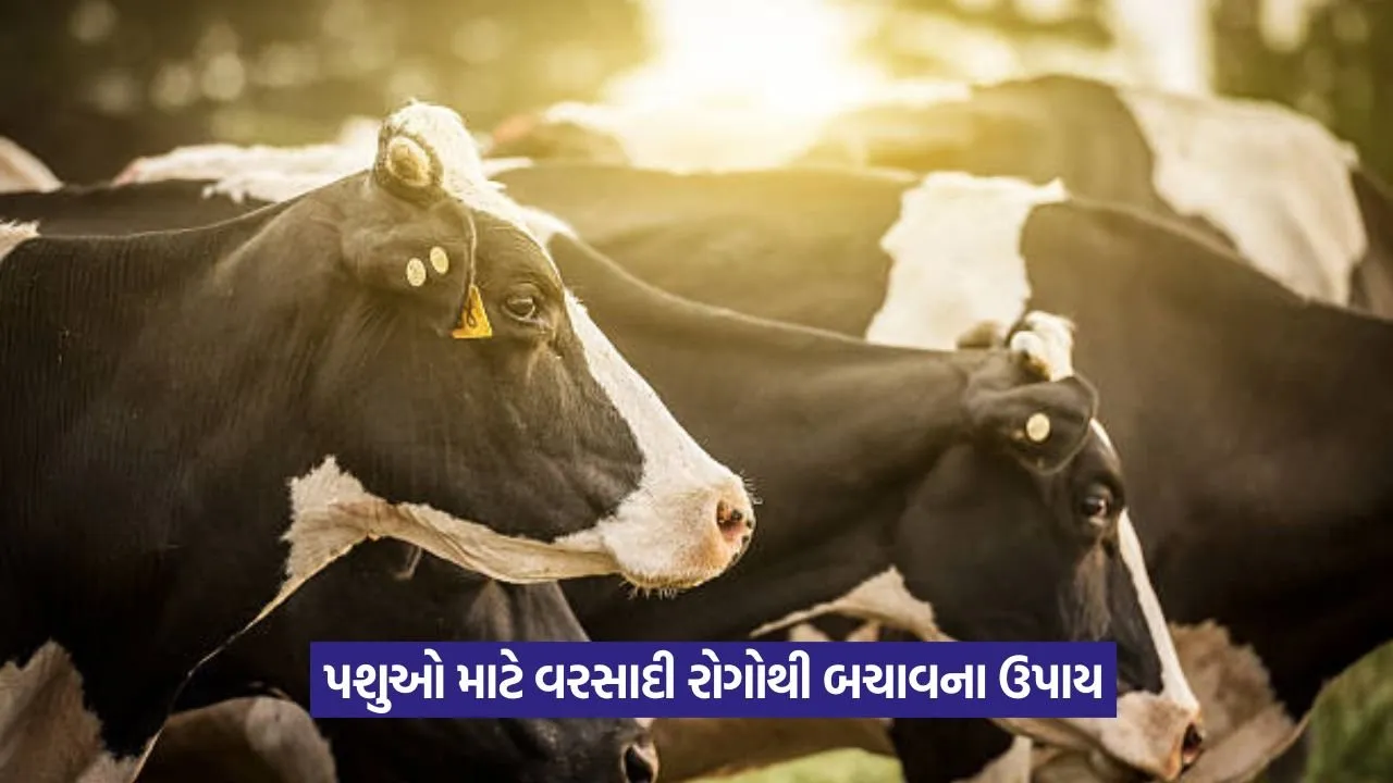 Animal disease prevention