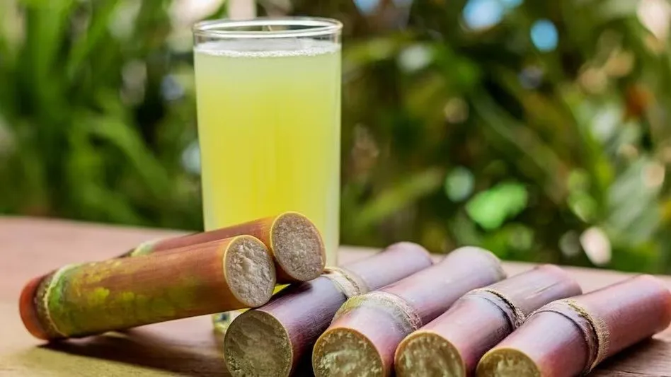 Sugarcane Farming: શેરડીની Co 0238 જાત ખેડૂતનું નસીબ બદલે 3 Sugarcane Farming