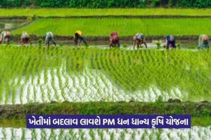 PM Dhan Dhanya Krishi Yojana