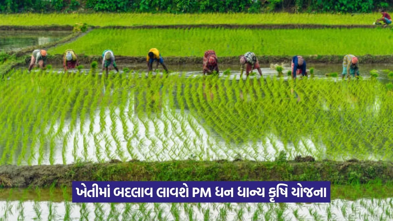 PM Dhan Dhanya Krishi Yojana: 100 જિલ્લાઓના ખેડૂતો માટે પીએમની સ્માર્ટ કૃષિ યોજના 22 PM Dhan Dhanya Krishi Yojana