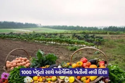 Organic Farming Startup