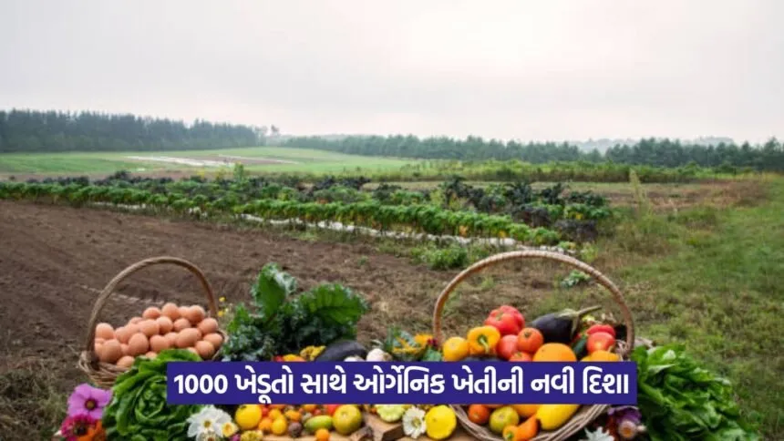 Organic Farming Startup