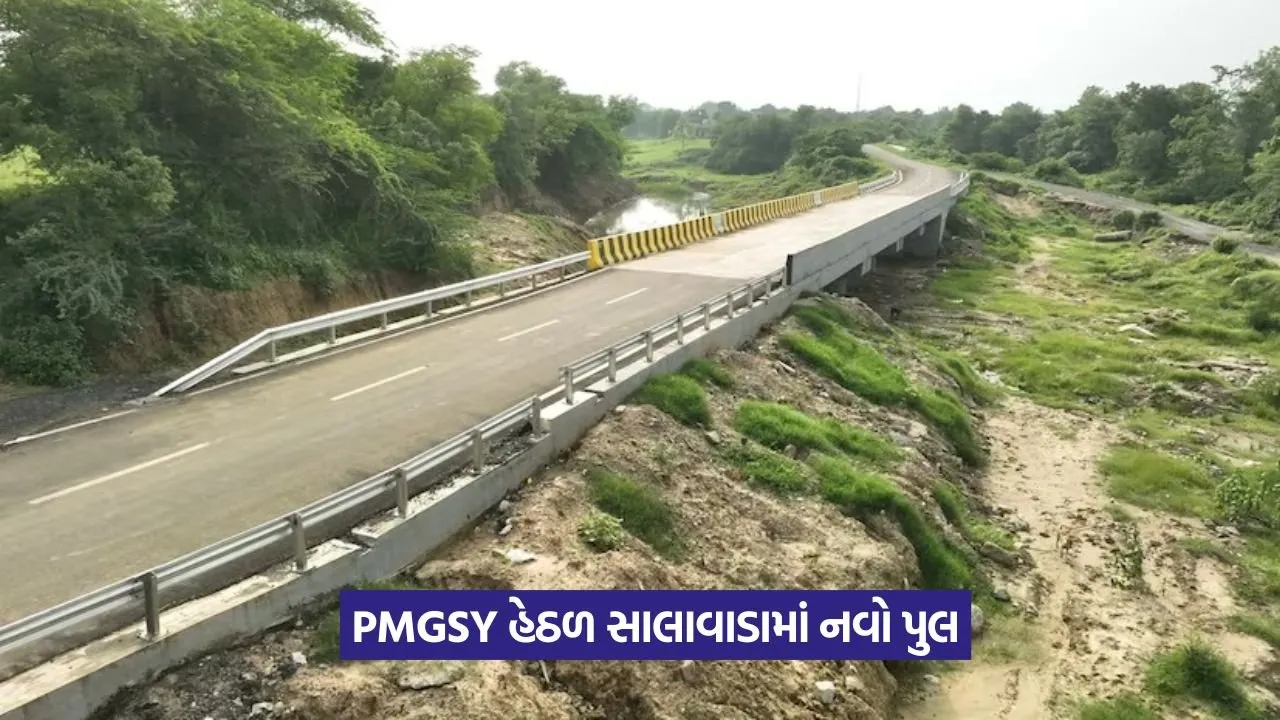 New Bridge : સાલાવાડા ગામે નવા પુલથી વિકાસનો માર્ગ ખુલ્યો 1 New Bridge