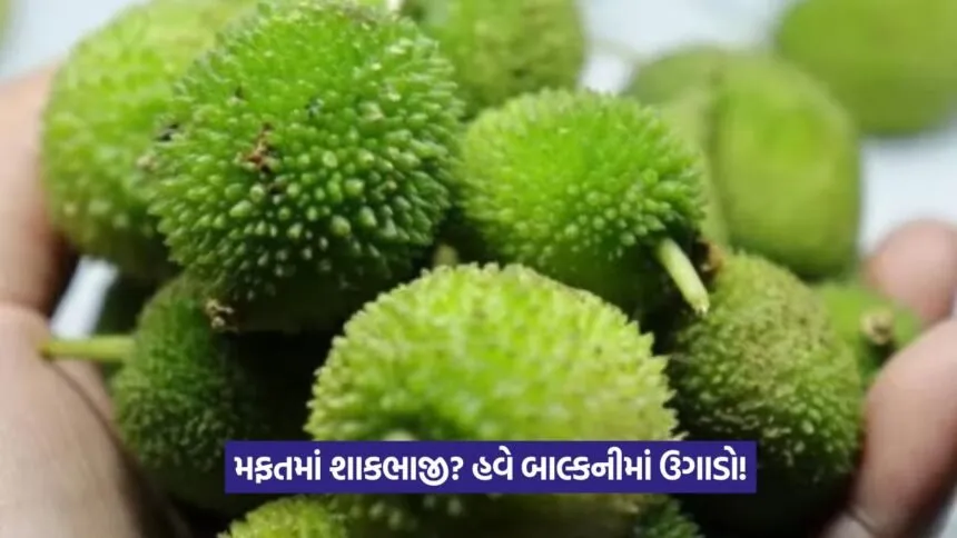 Grow Vegetables at Home