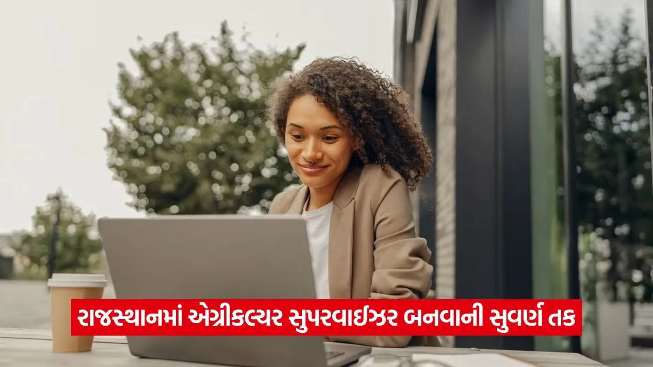 Job 2025: રાજસ્થાન એગ્રીકલ્ચર ડિપાર્ટમેન્ટમાં બમ્પર વેકેન્સી! જાણો કોણ અરજી કરી શકે છે 23 job 26.jpg