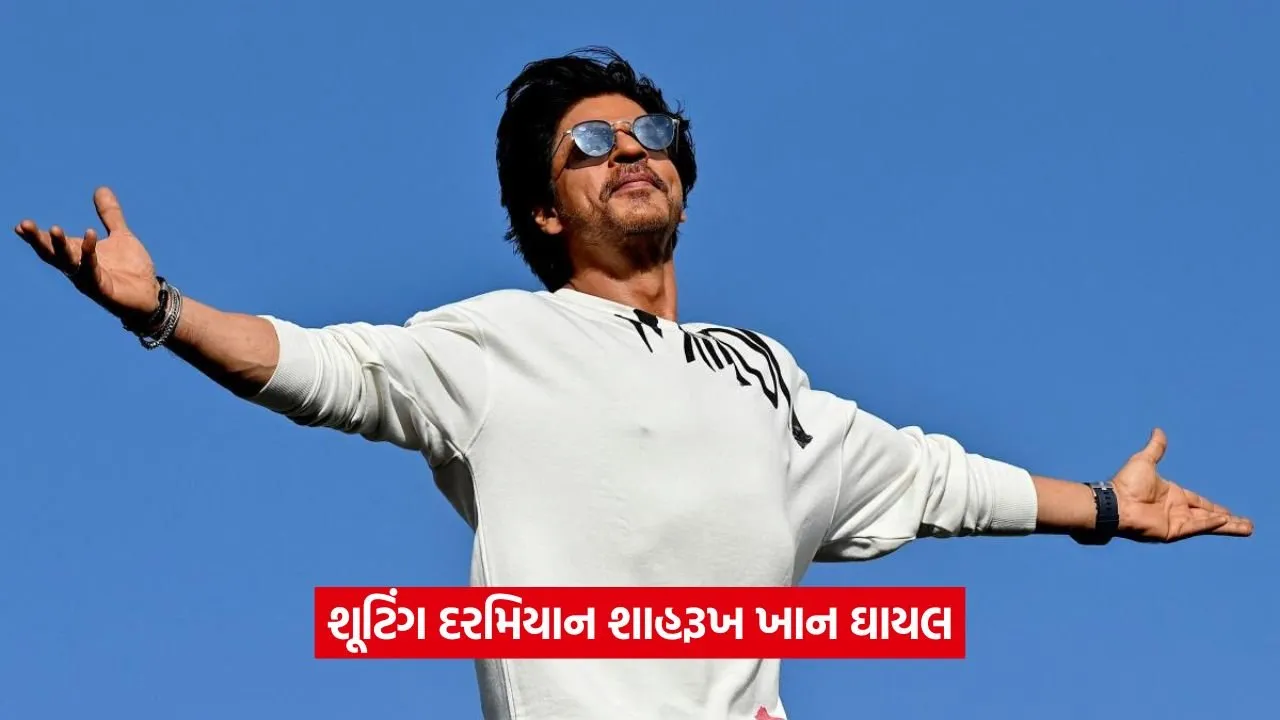 Shah Rukh Khanની ફિલ્મ કિંગના શૂટિંગ દરમિયાન મુશ્કેલીનો સામનો કરવો પડ્યો, અભિનેતા ઘાયલ થયા 23 Shah Rukh Khan