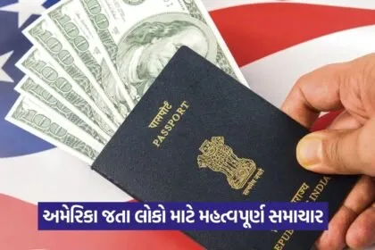 visa 2007
