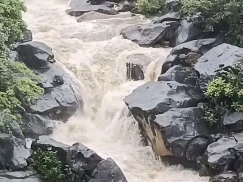 Mount Abu Rainfall: ધુમ્મસ, ઝરણાં અને ઠંડકથી ખીલી ઉઠ્યું માઉન્ટ આબુ 3 Mount Abu Rainfall