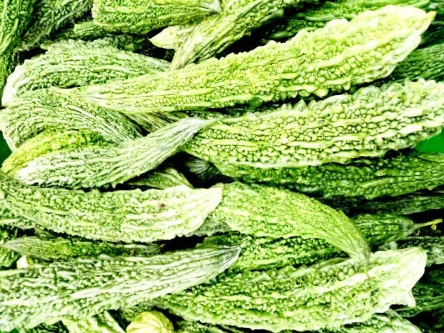 Vegetable farming: ટ્રાઇકોડર્માથી શાકભાજી ખેતીમાં કમાલ 2 Vegetable farming