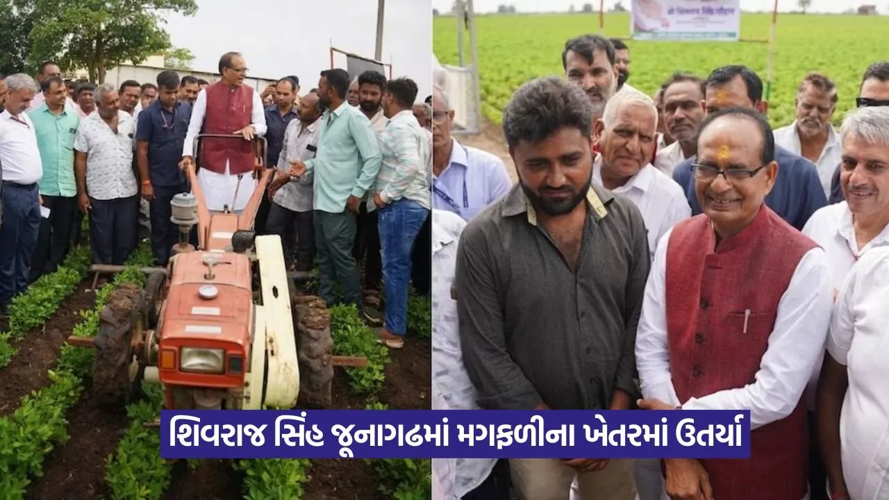 Shivraj Singh Junagadh Visit