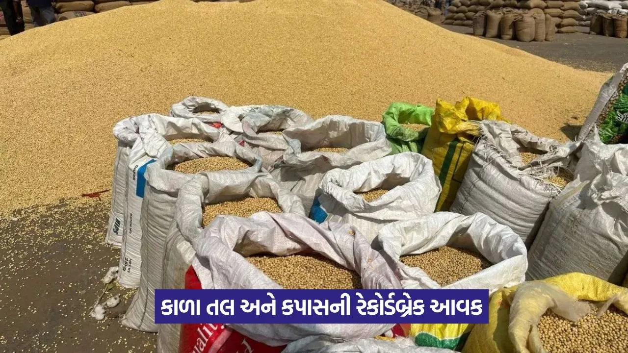 Rajkot Market Yard crop prices 1.jpeg